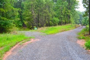 The path truly begins to the left of this sign. It switches from gravel to natural terrain.