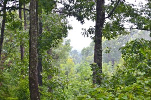 Several other hills can be seen, almost giving a sense of being in a mountain range.