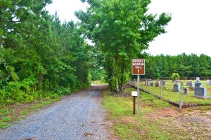 Located on next to the cemetery of at Mt. Zion Presbyterian Church, the path to the top of Driskill Mountain is well defined.