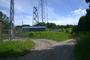 The summit area of Black Mountain.