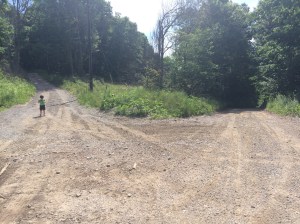Fork in the road near the highpoint